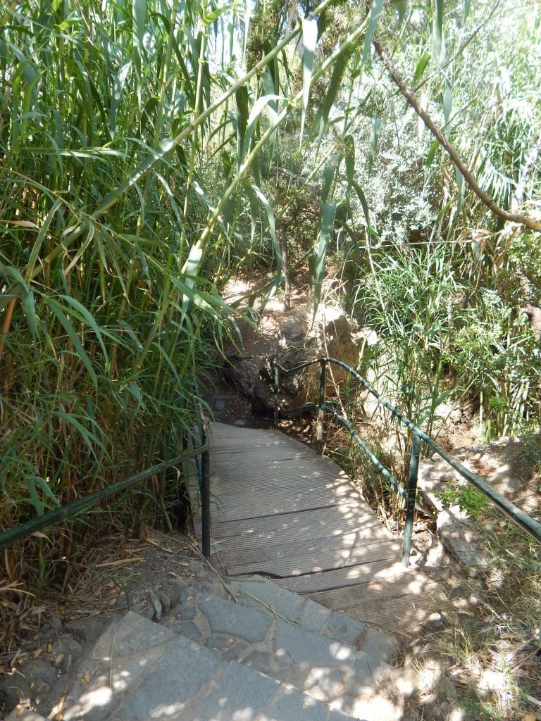 Treppen zum Strand