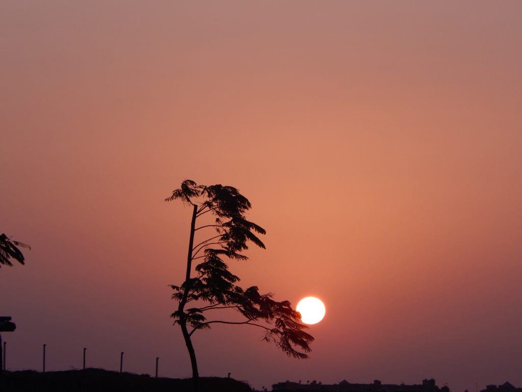 Sonnenuntergang Steigenberger Ras Soma